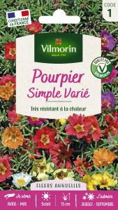 Pourpier Simple Varié